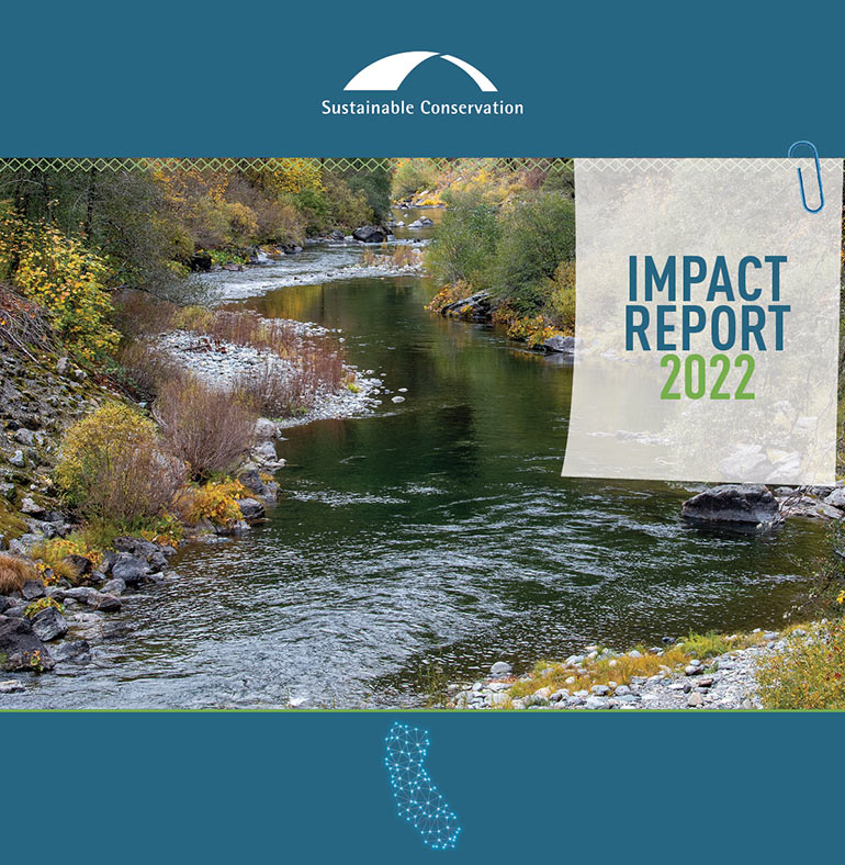 Impact Report Cover