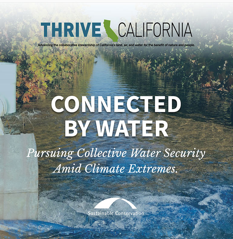 Thrive California Microsite